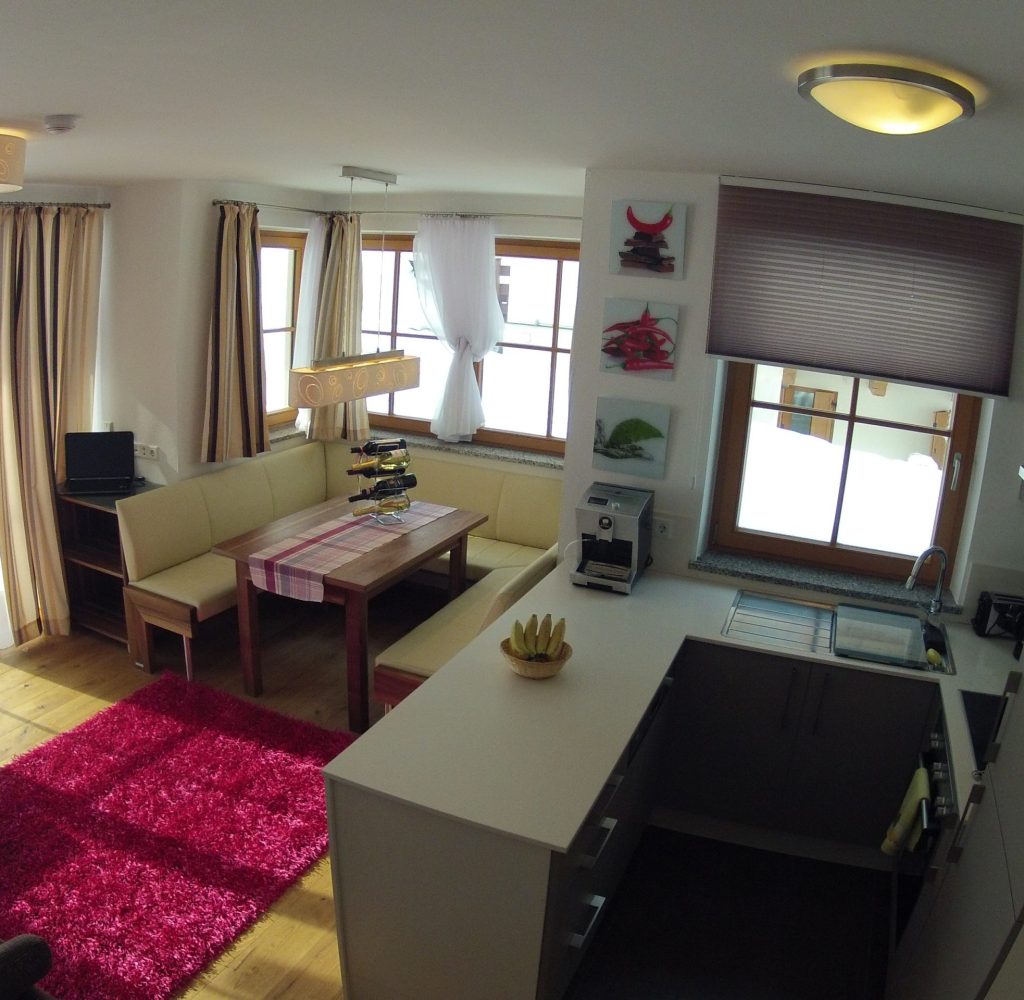 DCIM100GOPRO