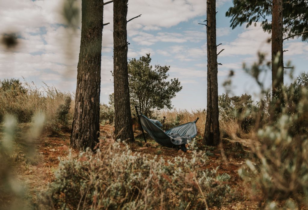 Sensiri Myst Hammock Between the Pine Trees